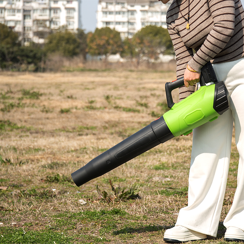 BLZ1901 Adjustable Speed Strong 20V Cordless Leaf Blower With Battery And Charger